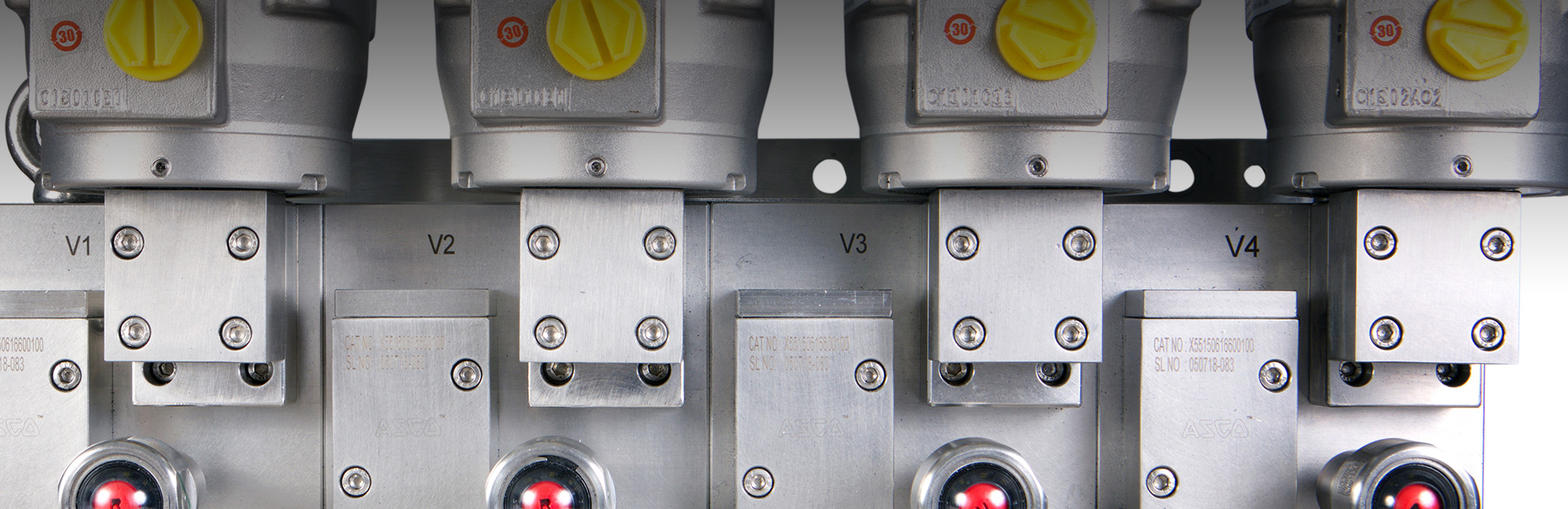 View our full list of BVAA members